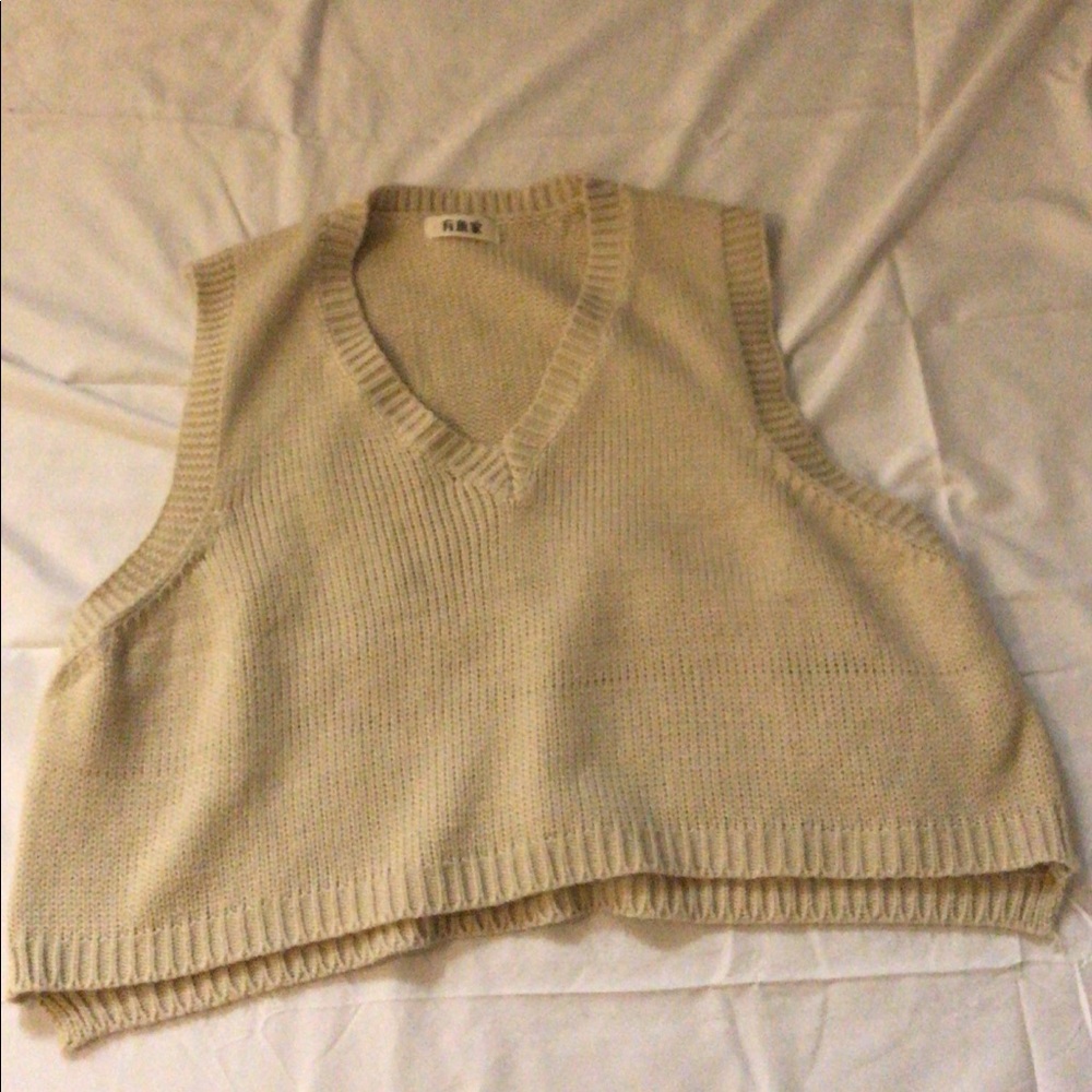 Yesstyle knit vest